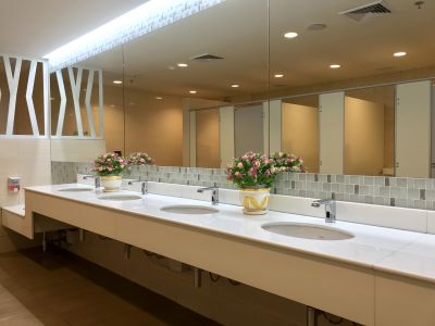 Elegant Vanity and Lighting